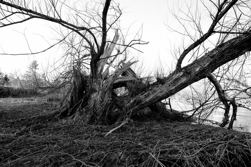 © Isabelle Thibault - Image from the Lost Freedom photography project