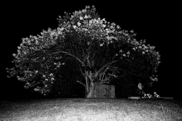 © Isabelle Thibault - Image from the Lost Freedom photography project