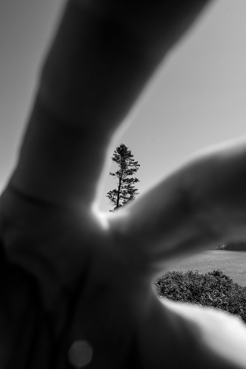 © Isabelle Thibault - Image from the Lost Freedom photography project