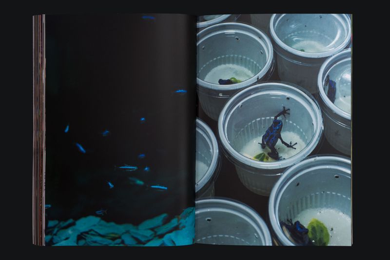 Image from a project on PhMuseum