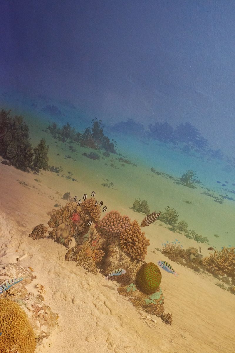 Image from a project on PhMuseum