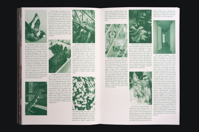 Image from a project on PhMuseum