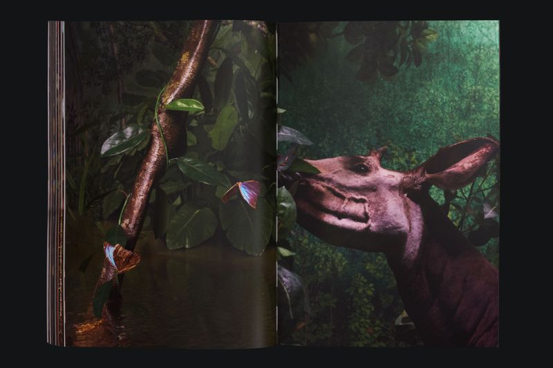 Image from a project on PhMuseum