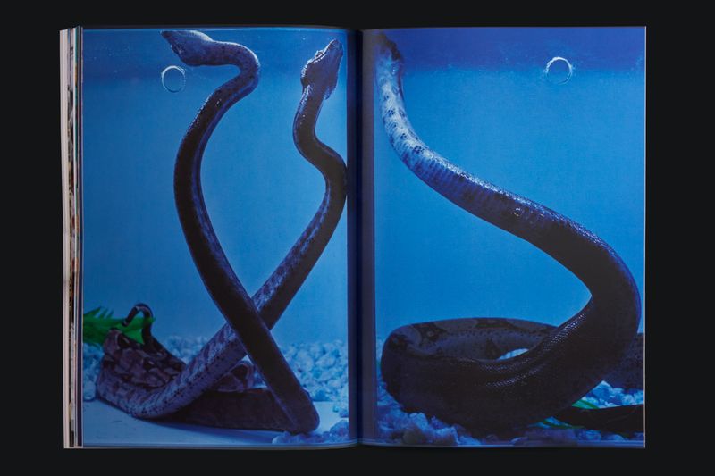 Image from a project on PhMuseum