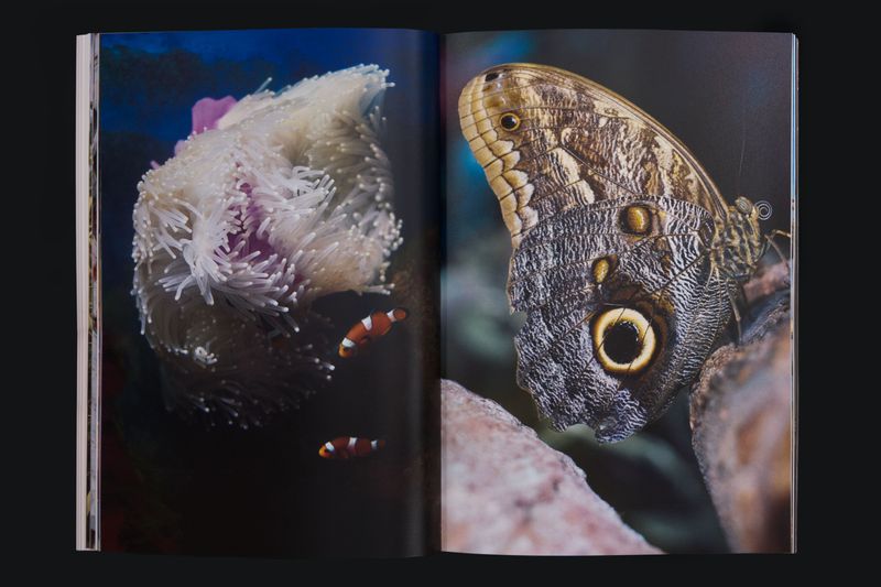 Image from a project on PhMuseum