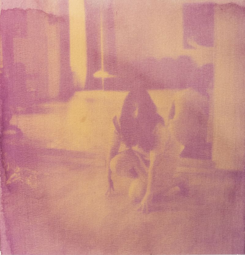 © Brenda Vega - Performance for a red rose