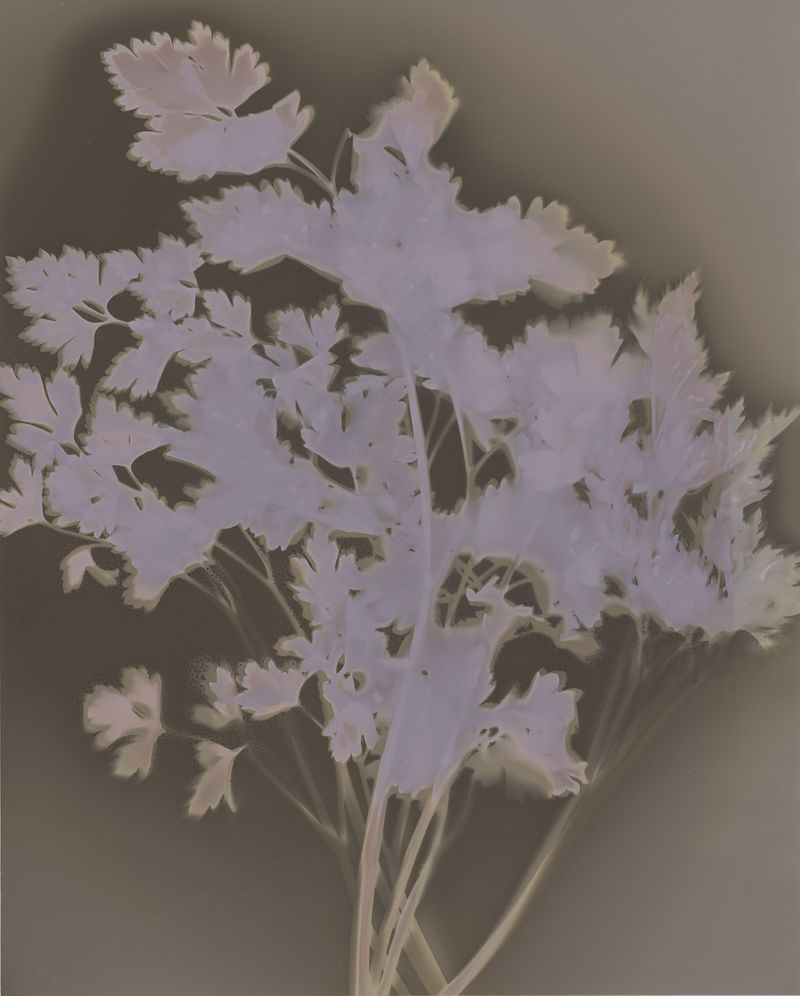 © Brenda Vega - Image from the “This can change” photography project