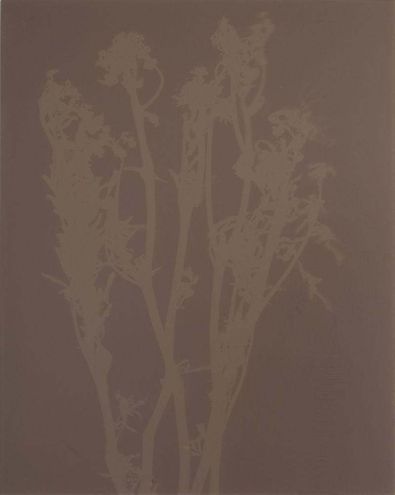 © Brenda Vega - Image from the “This can change” photography project