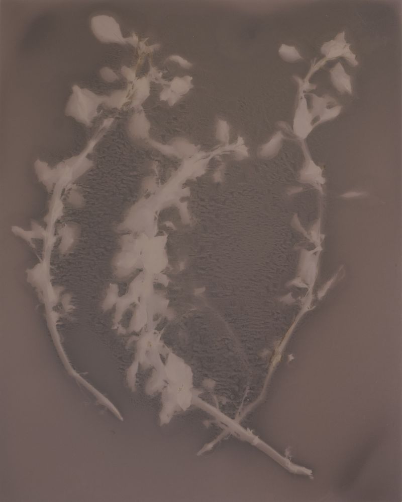 © Brenda Vega - Image from the “This can change” photography project