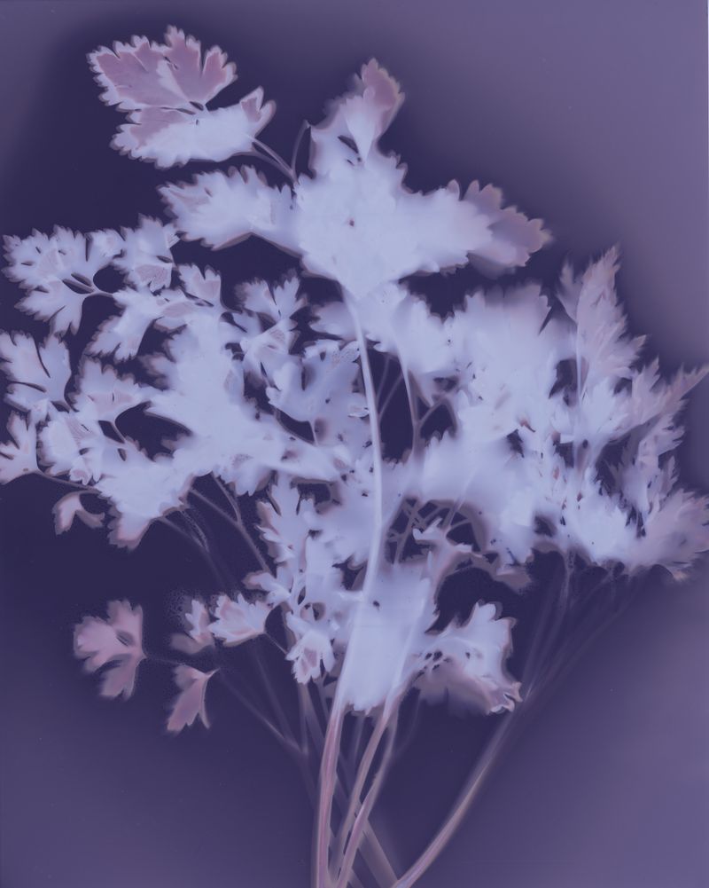 © Brenda Vega - Image from the “This can change” photography project