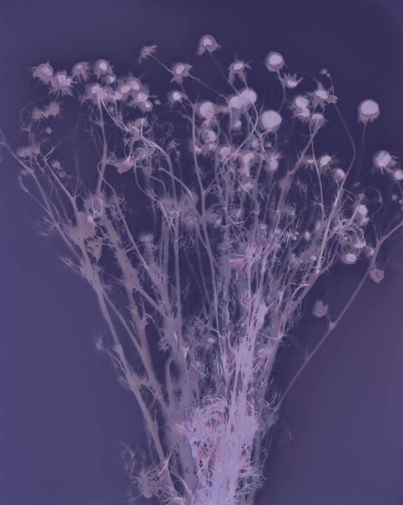 © Brenda Vega - Image from the “This can change” photography project