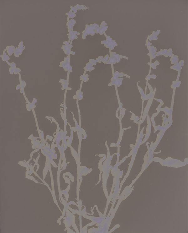© Brenda Vega - Image from the “This can change” photography project