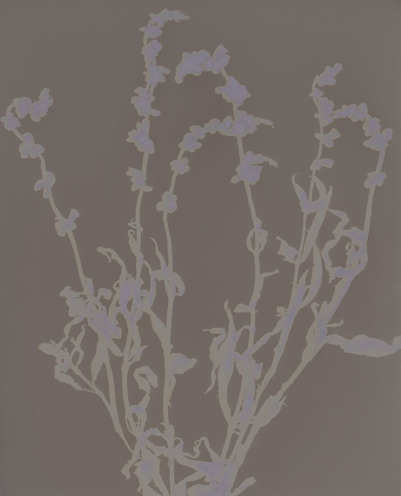 © Brenda Vega - Image from the “This can change” photography project