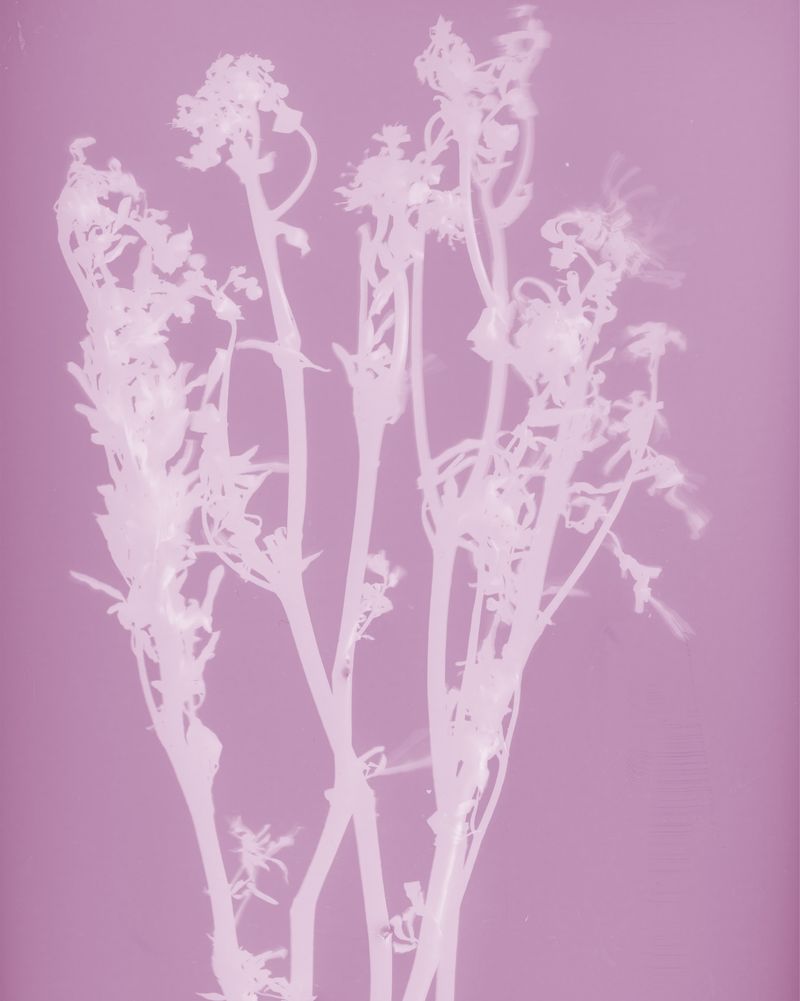 © Brenda Vega - Image from the “This can change” photography project