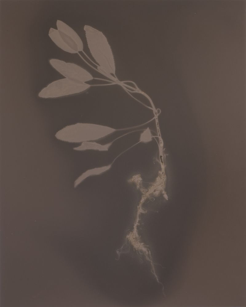© Brenda Vega - Image from the “This can change” photography project