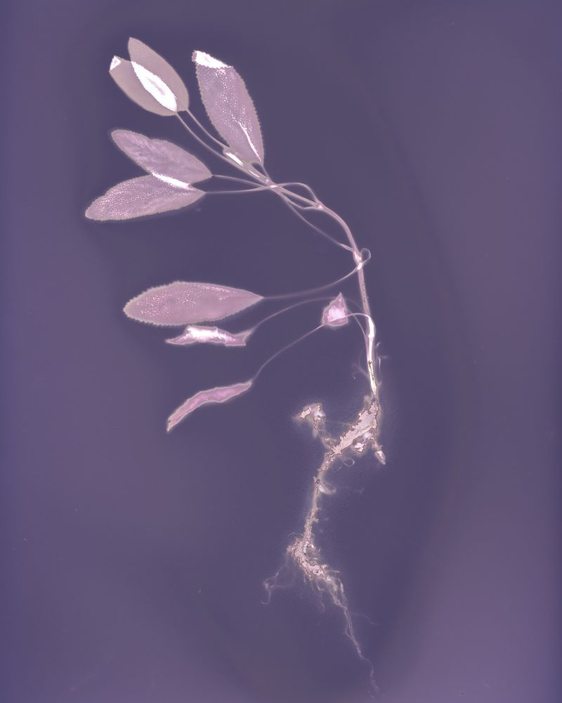 © Brenda Vega - Image from the “This can change” photography project