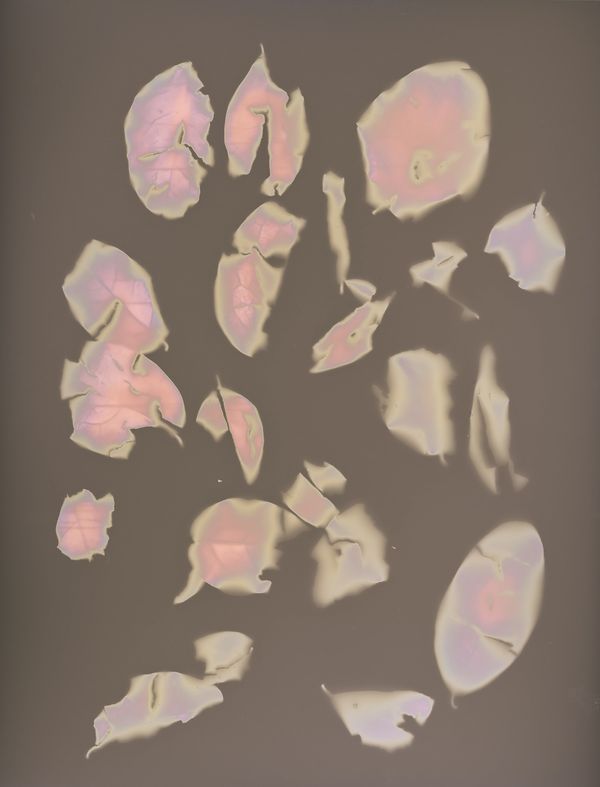 © Brenda Vega - Image from the “This can change” photography project