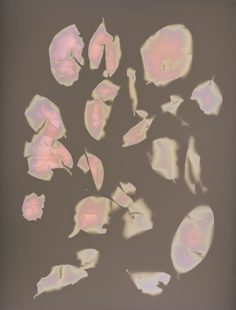 © Brenda Vega - Image from the “This can change” photography project