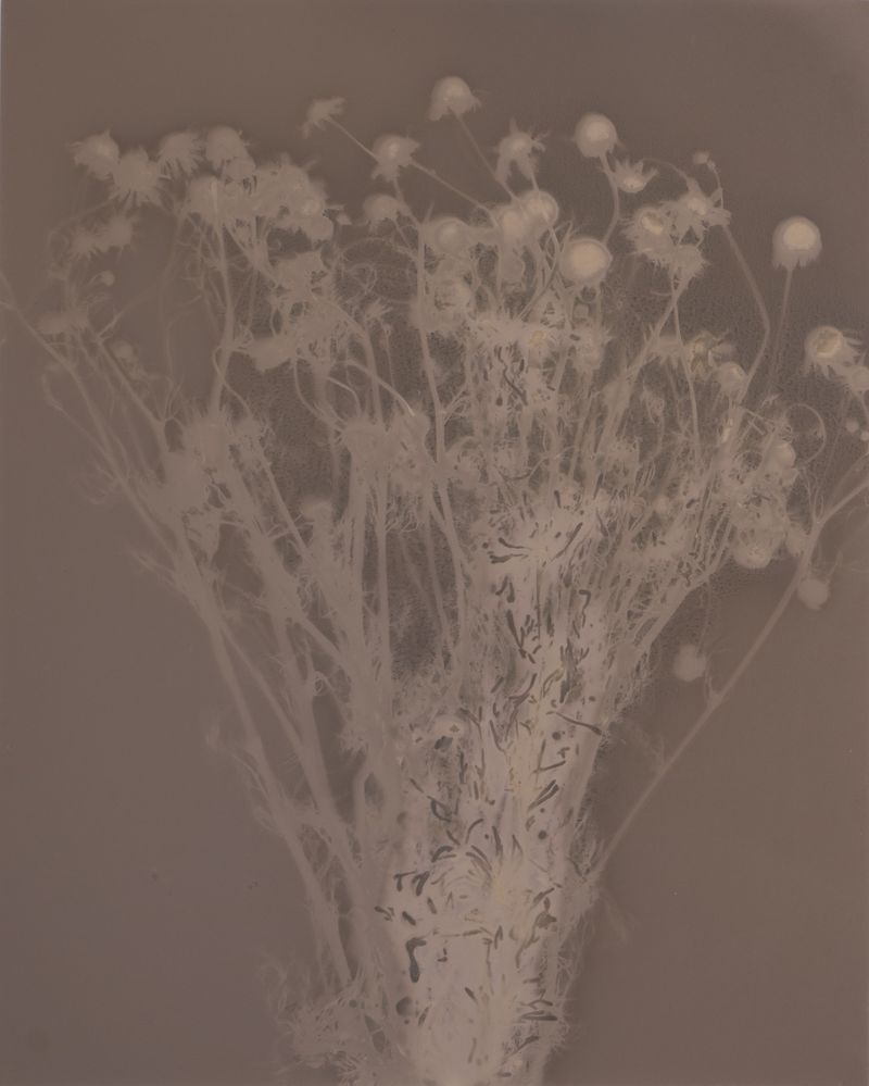 © Brenda Vega - Image from the “This can change” photography project