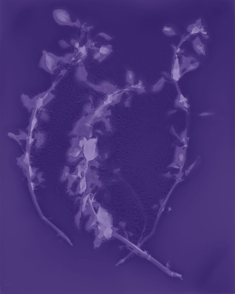 © Brenda Vega - Image from the “This can change” photography project