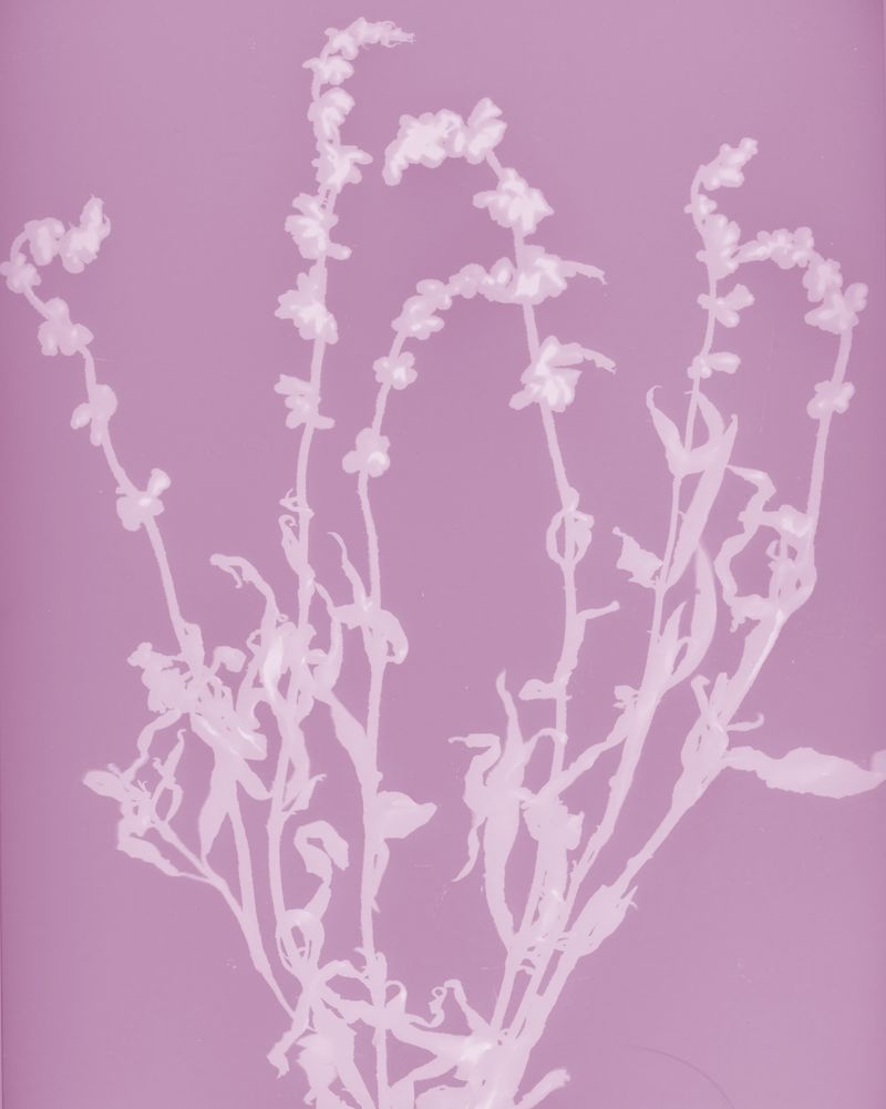 © Brenda Vega - Image from the “This can change” photography project