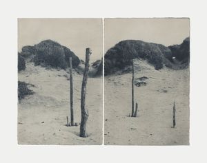 OD Photo Prize 2025