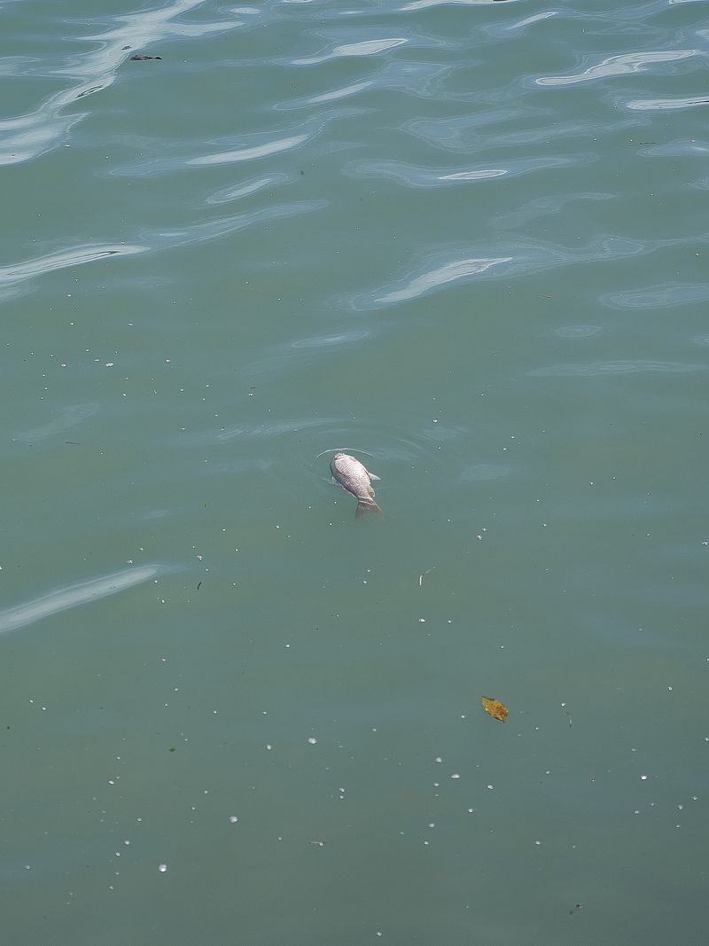 © LIYING HUANG - Image from the I Still Do Not Know Him photography project