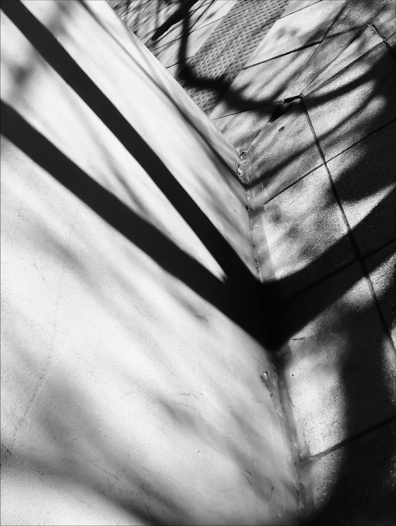 © María Onaindia Zuretti - 8. 際 KIWA 08/20