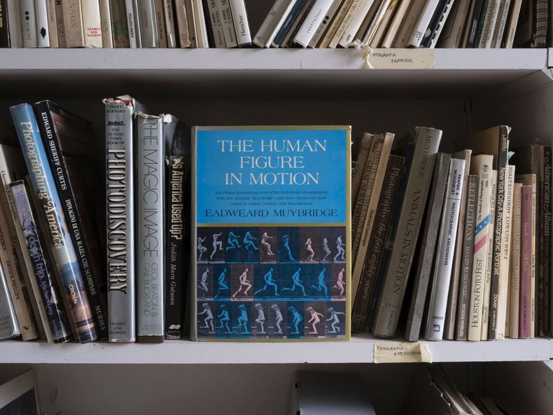 Stefano Graziani, Eadweard Muybridge, The Human Figure in Motion, Roncocesi, 2025