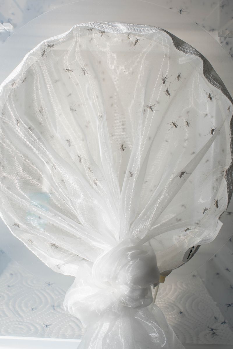 © Erik Irmer - Image from the ALIENS photography project