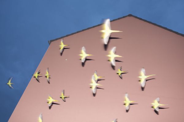 © Erik Irmer - Image from the ALIENS photography project