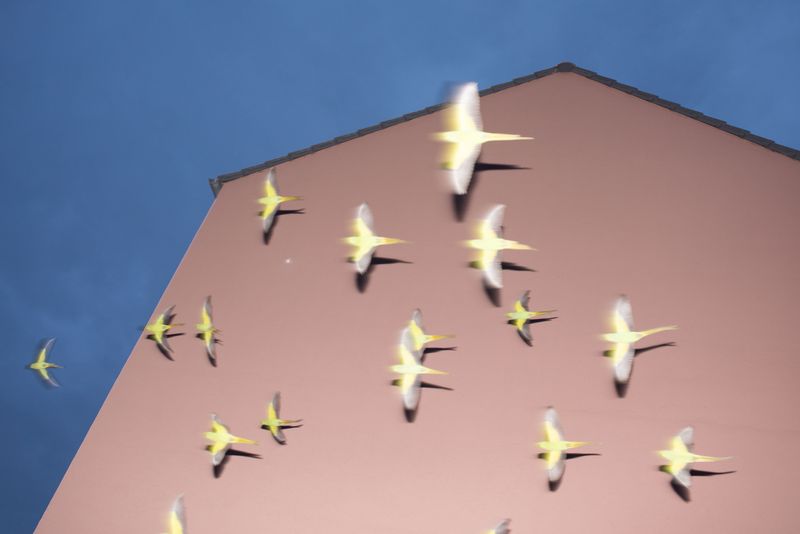 © Erik Irmer - Image from the ALIENS photography project