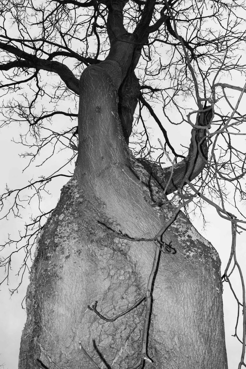 © Erik Irmer - Image from the ALIENS photography project