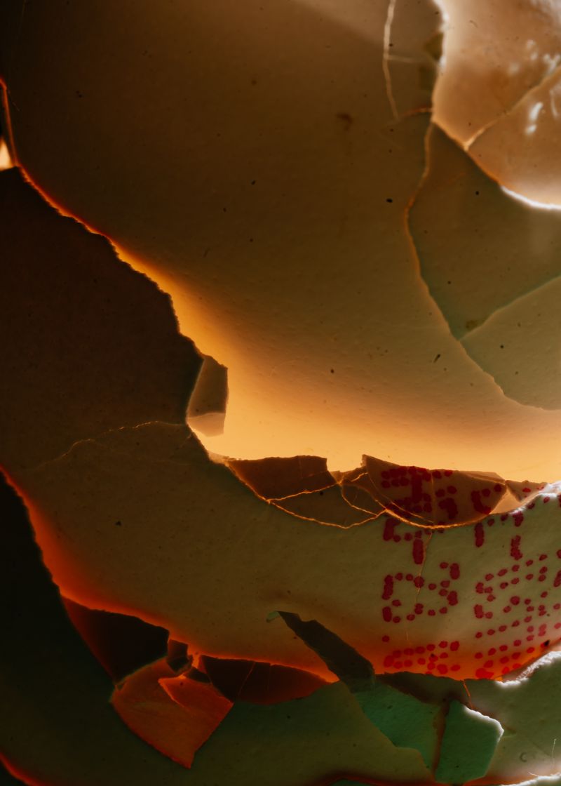 © David Löffler - Broken egg shells