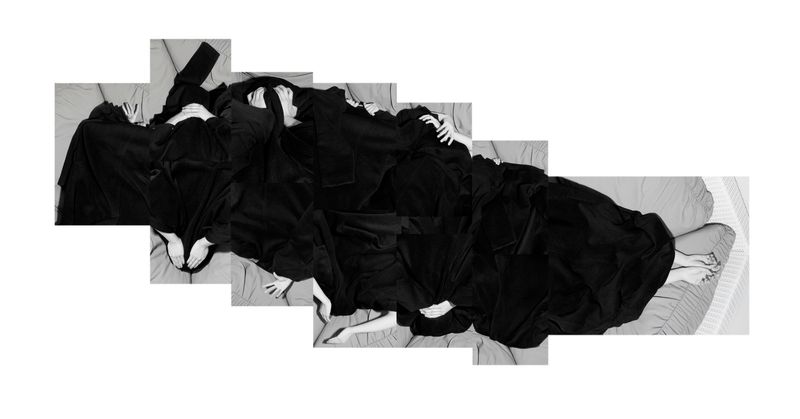 © tianyu wang - Spider