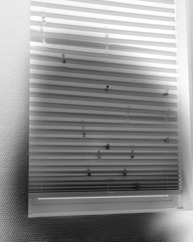 © tianyu wang - Climb upwards/steal a glance