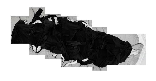 © tianyu wang - Spider