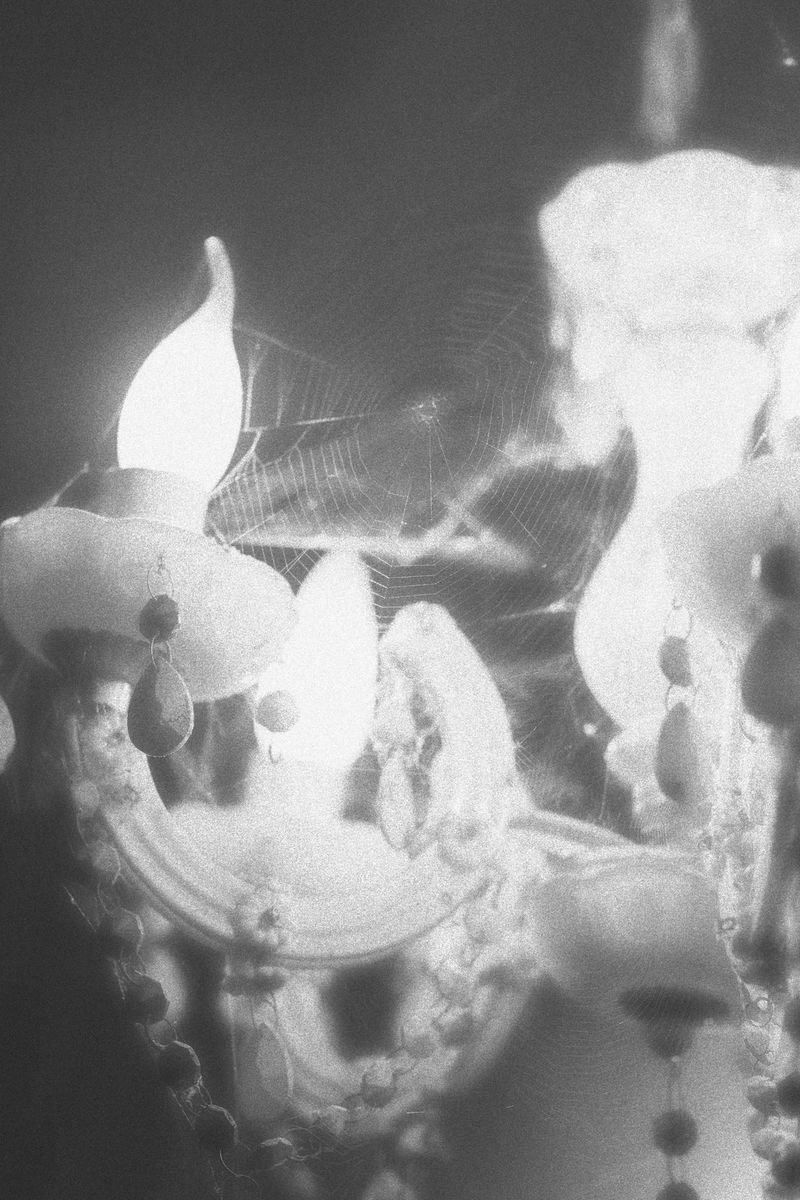 © Anna Guseva - Image from the "Let the wolf howl in the night" photography project