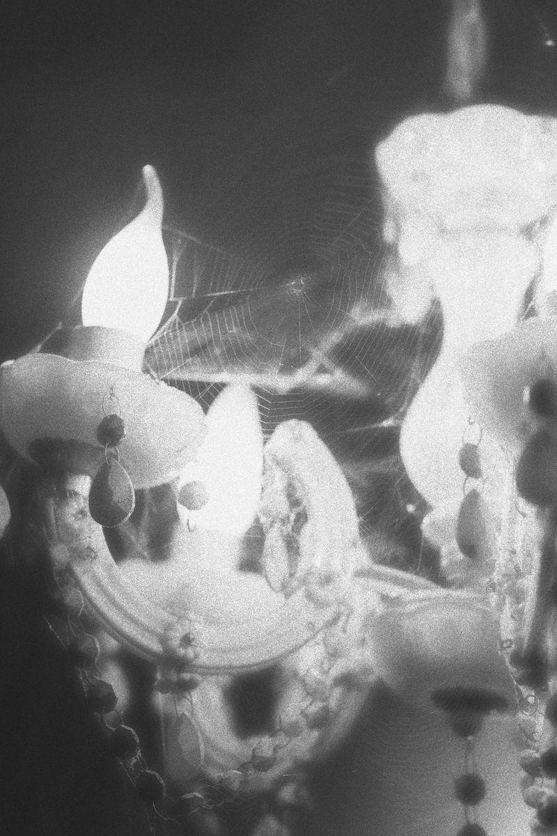 © Anna Guseva - Image from the "Let the wolf howl in the night" photography project