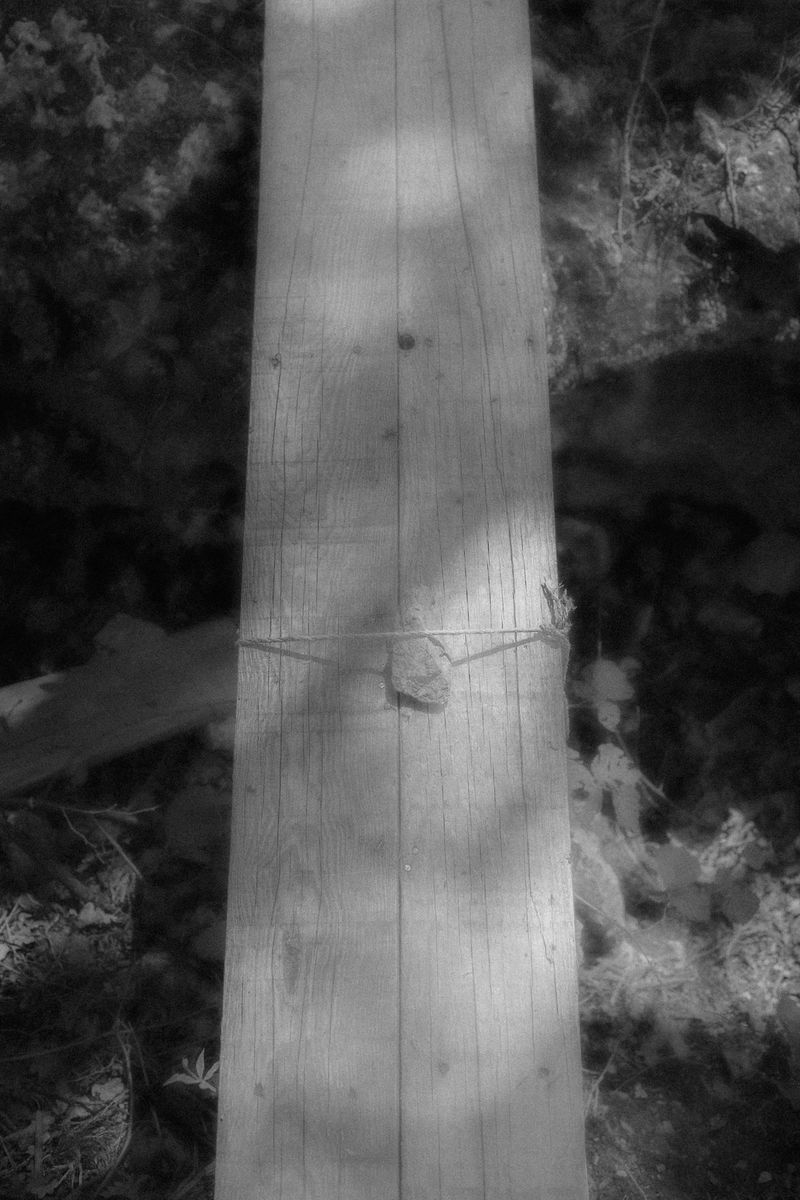 © Anna Guseva - Image from the "Let the wolf howl in the night" photography project