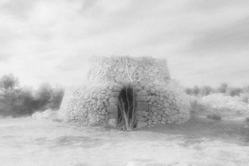 © Anna Guseva - Image from the "Let the wolf howl in the night" photography project