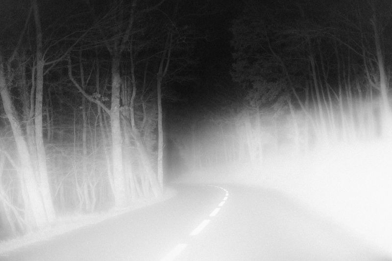 © Anna Guseva - Image from the "Let the wolf howl in the night" photography project