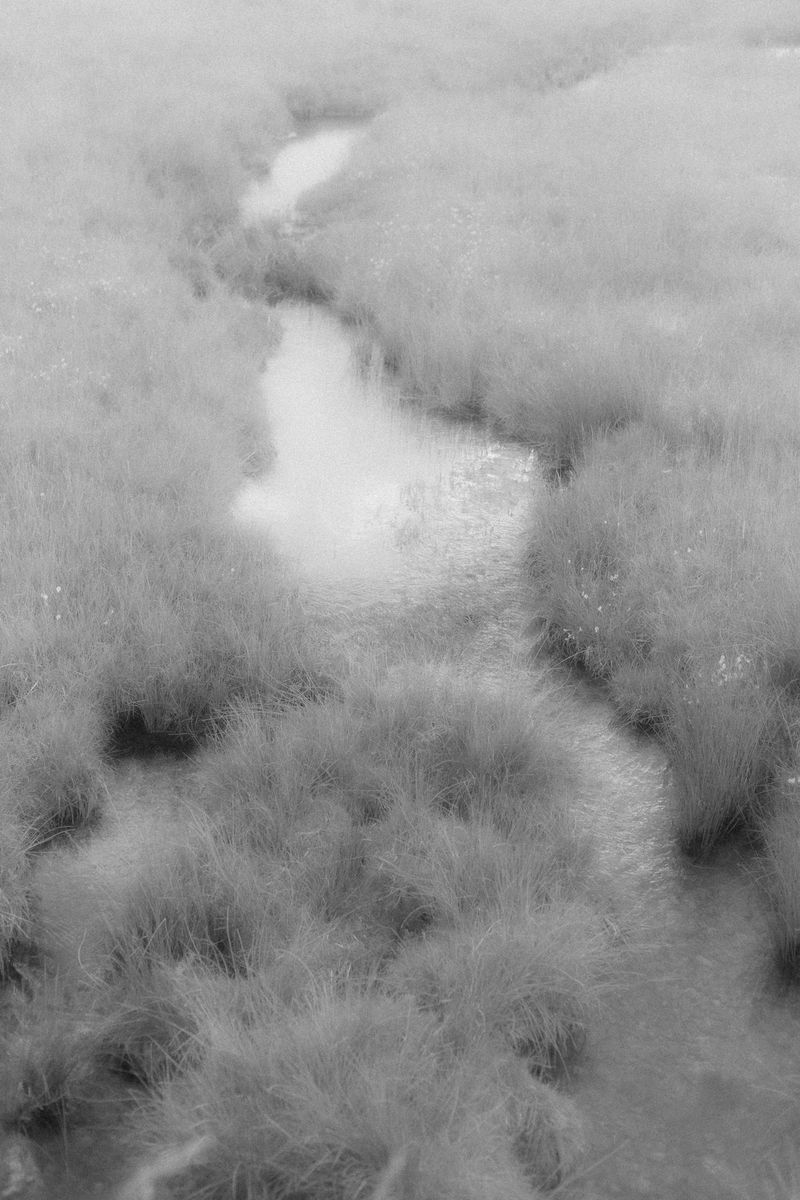 © Anna Guseva - Image from the "Let the wolf howl in the night" photography project