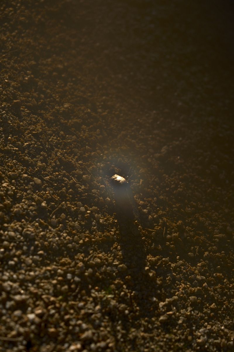 © Karen Gaitán - Image from the CUMBRA photography project