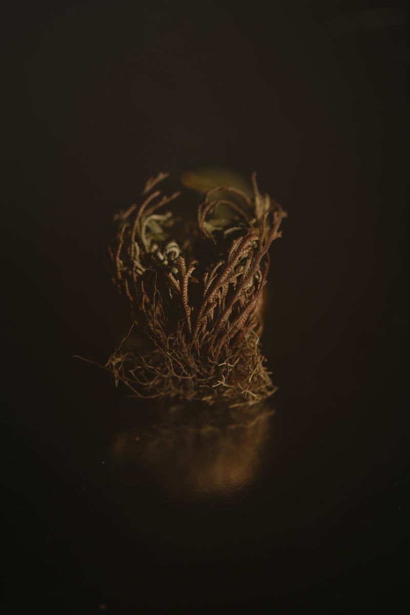 © Karen Gaitán - Image from the CUMBRA photography project