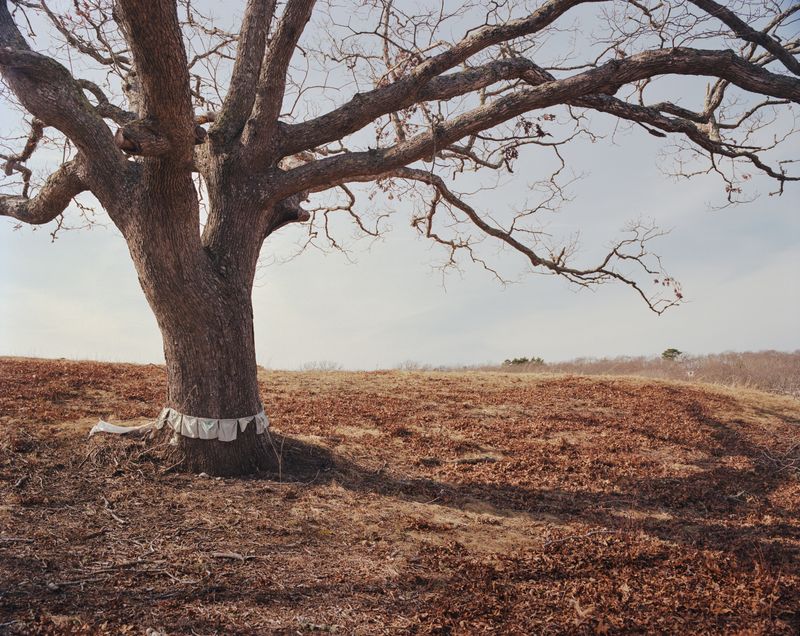 © Austin Bryant - Image from the Where They Still Remain photography project