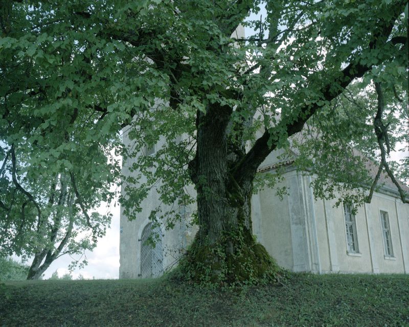 © Marta Berens - Image from the SUITI photography project