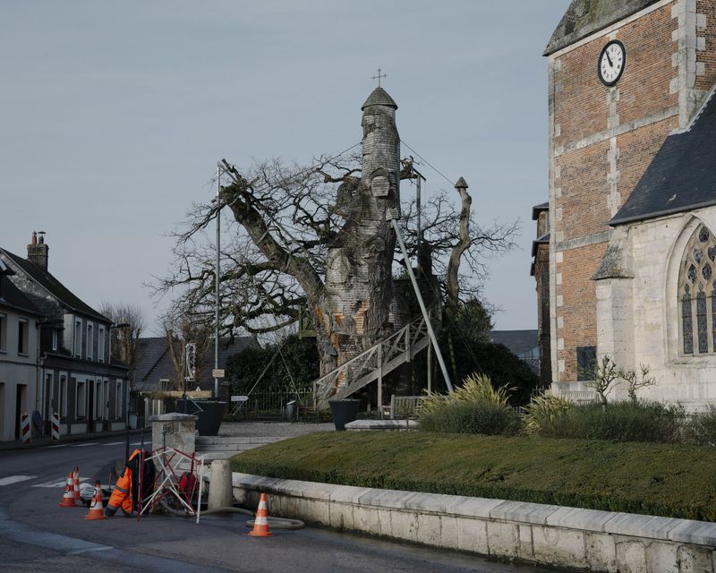 © Stefan Nieland - A chapel inside an ancient tree. Allouville-Bellefosse, France, 28 December 2023.