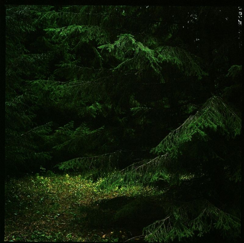 © Sofia Tatarinova - Image from the The udmurt suicide photography project