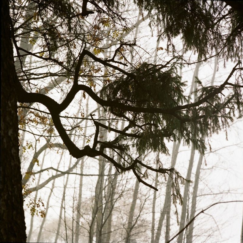 © Sofia Tatarinova - Image from the The udmurt suicide photography project